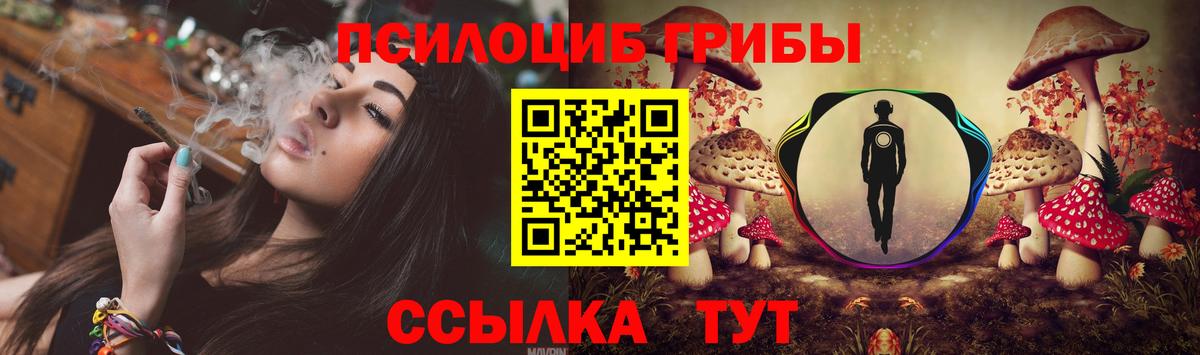 Псилоцибиновые грибы MAGIC MUSHROOMS  Вход с VPN  Галлюциногенные грибы Psilocybe  Среднеуральск 